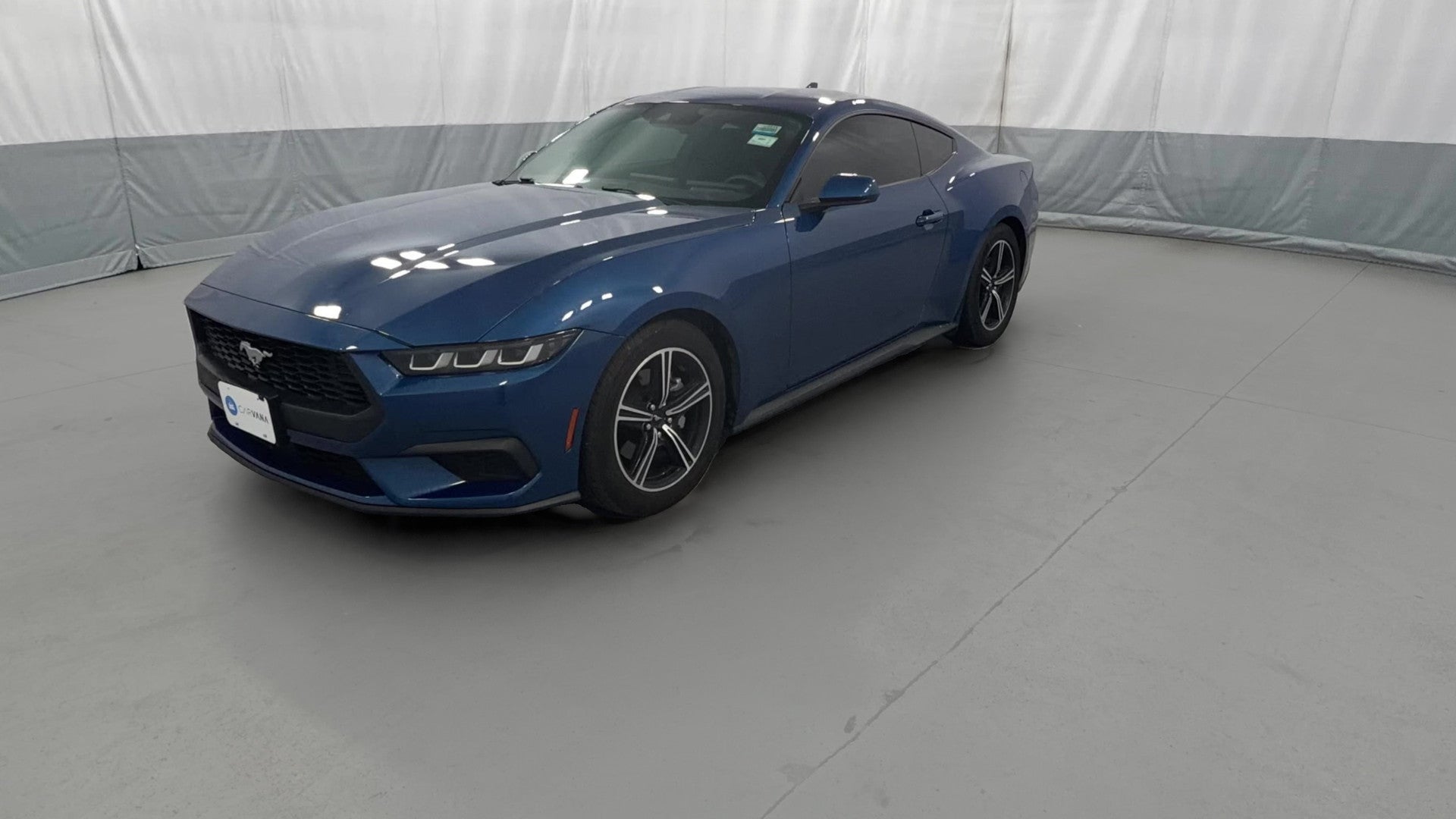 2024 Ford Mustang vehicle photo