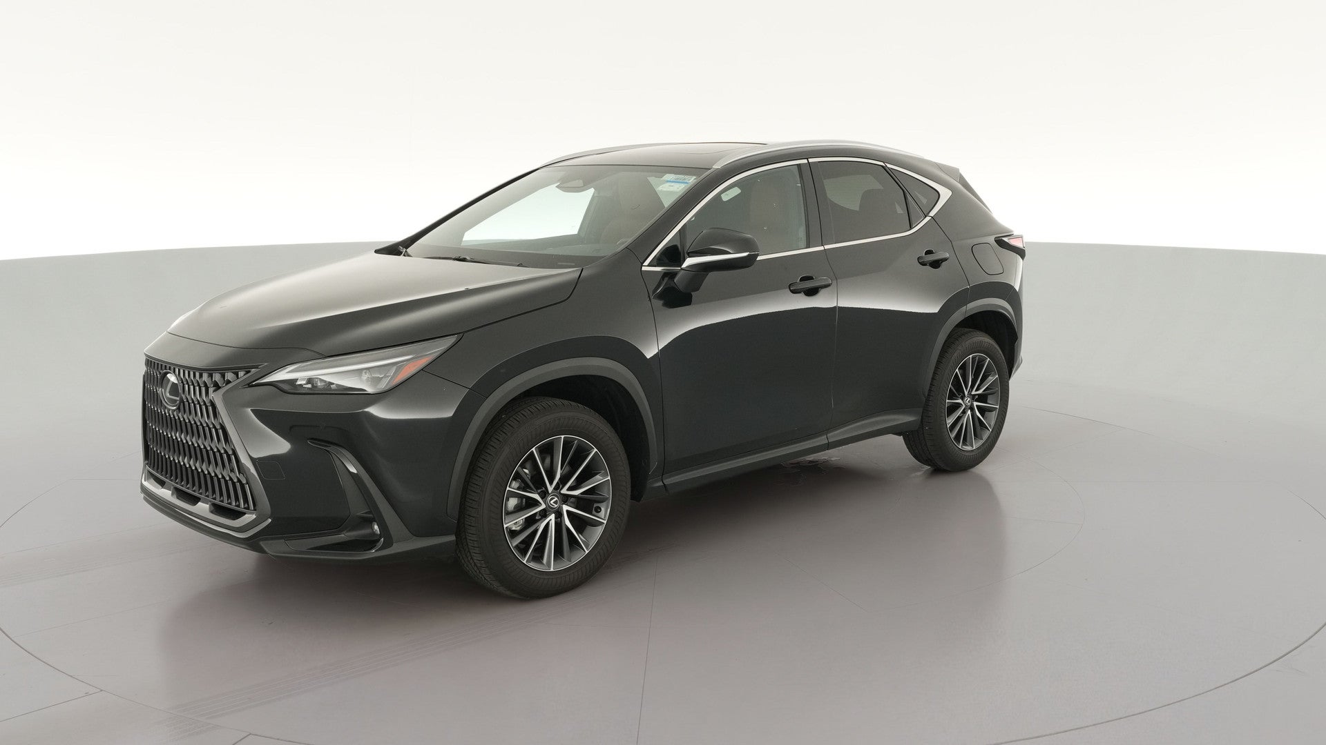 2025 Lexus NX vehicle photo
