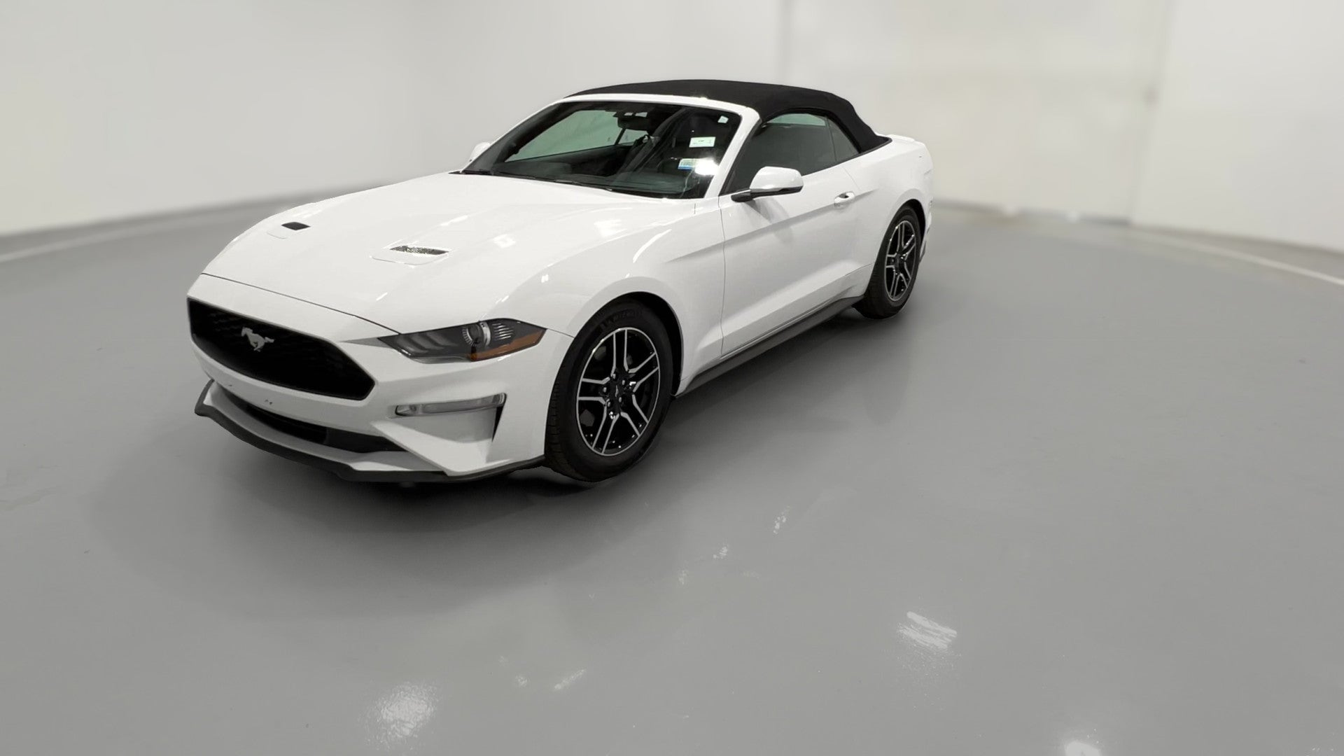 2019 Ford Mustang vehicle photo