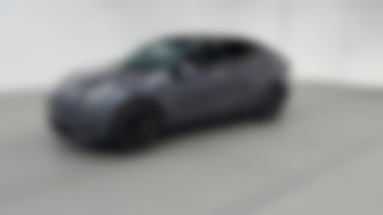 2021 Tesla Model Y vehicle photo