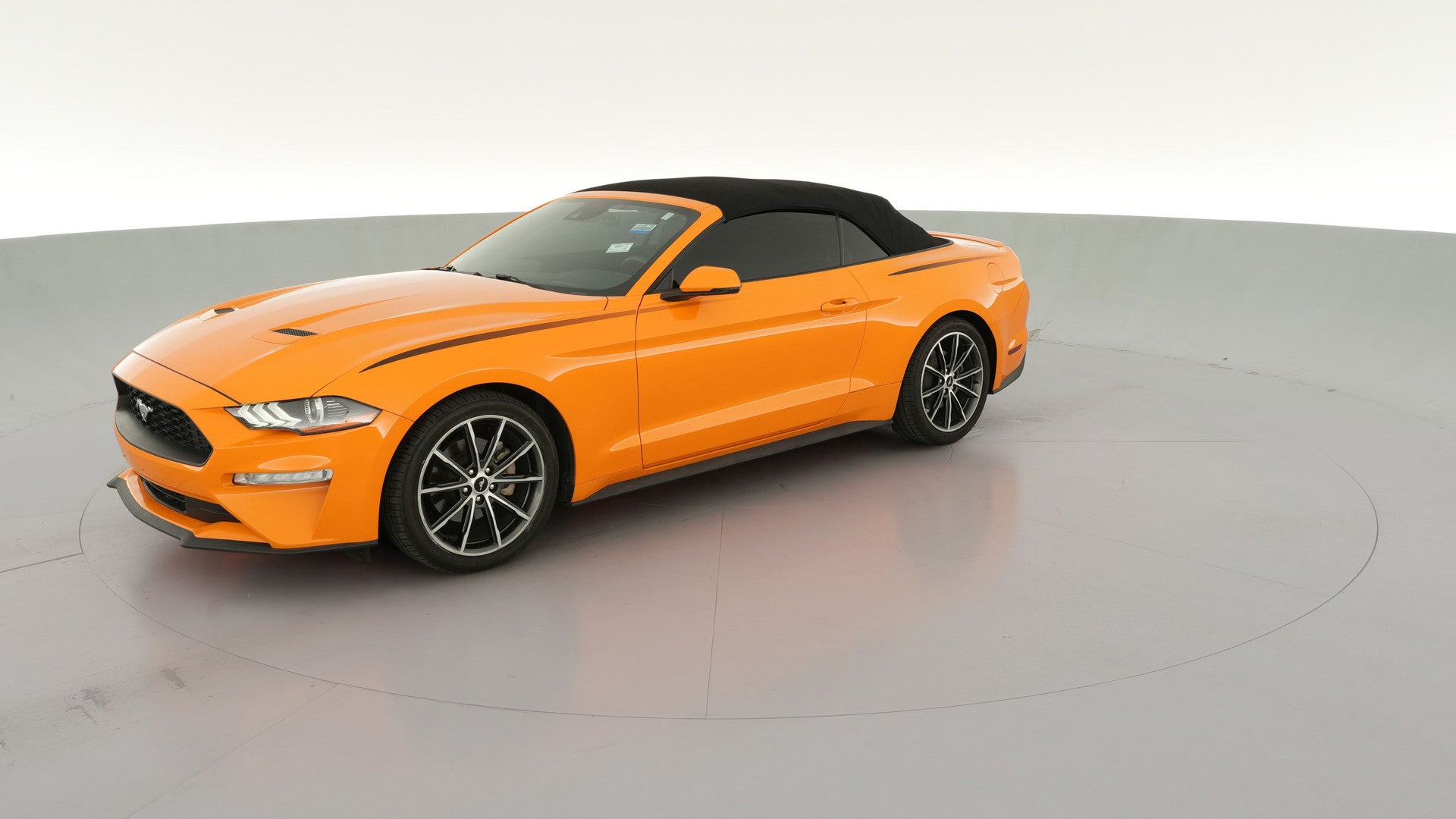 2019 Ford Mustang vehicle photo