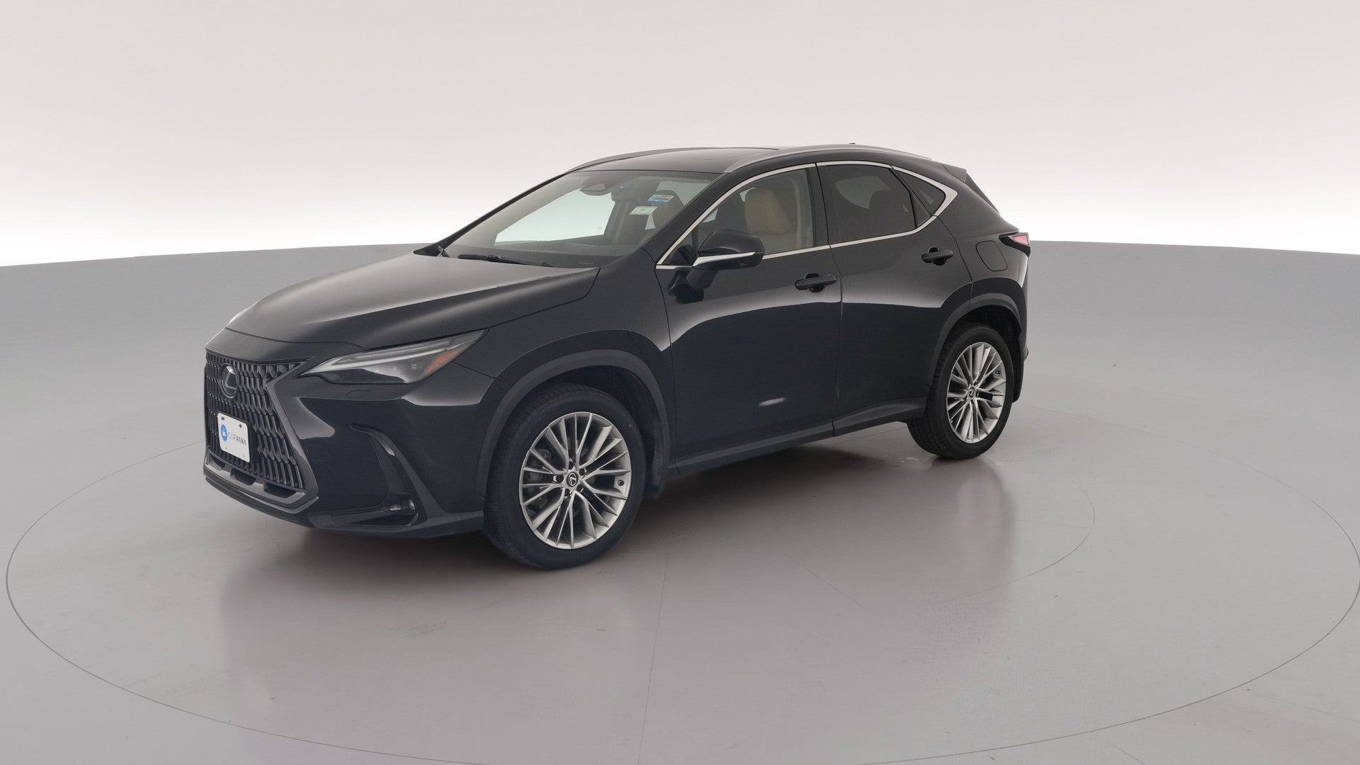 2024 Lexus NX vehicle photo