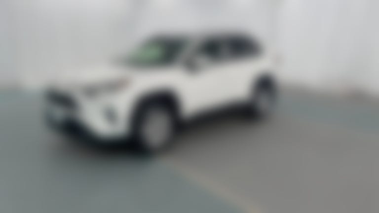 2019 Toyota RAV4 vehicle photo