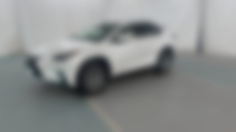 2020 Lexus NX vehicle photo