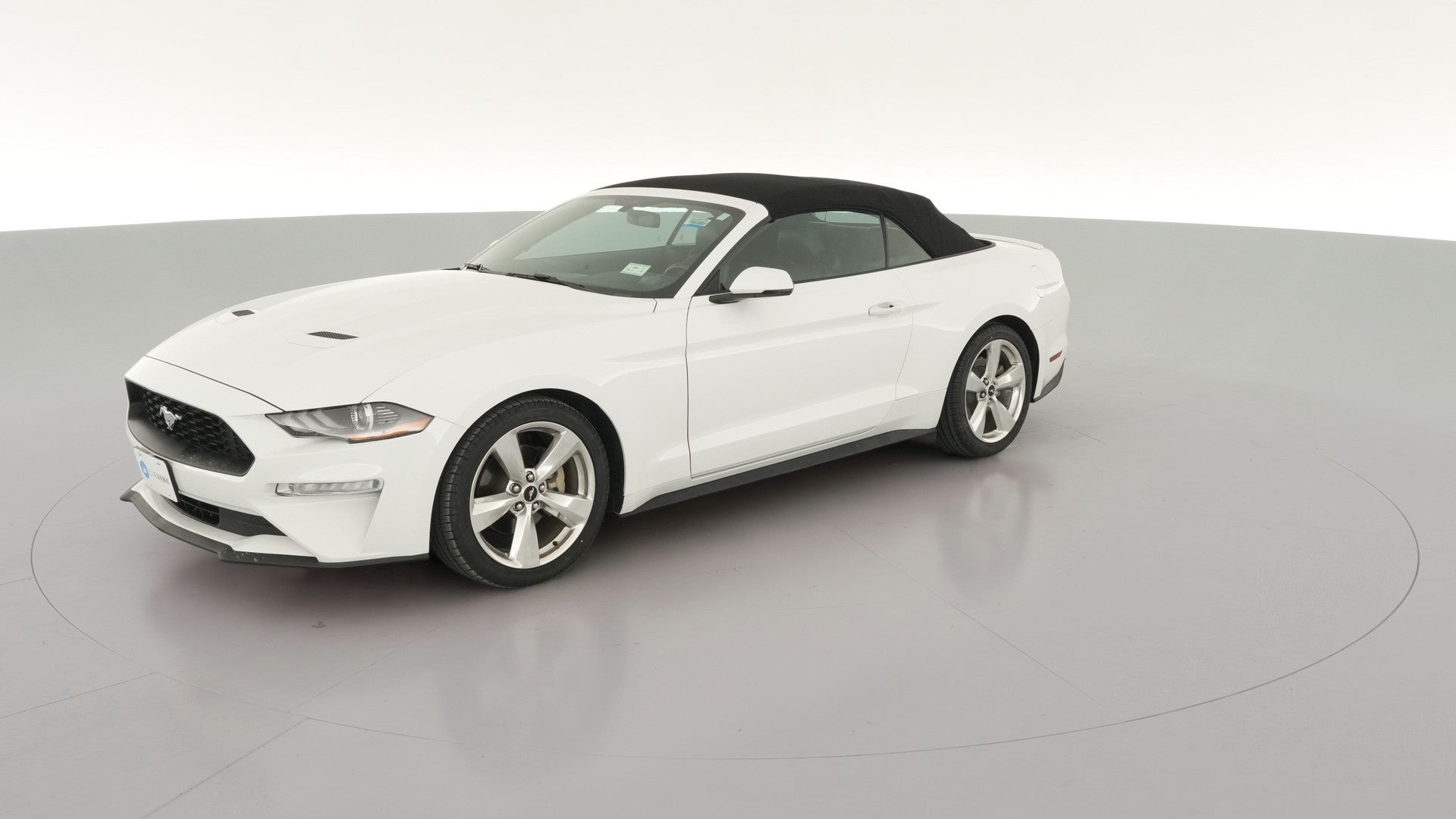 2019 Ford Mustang vehicle photo