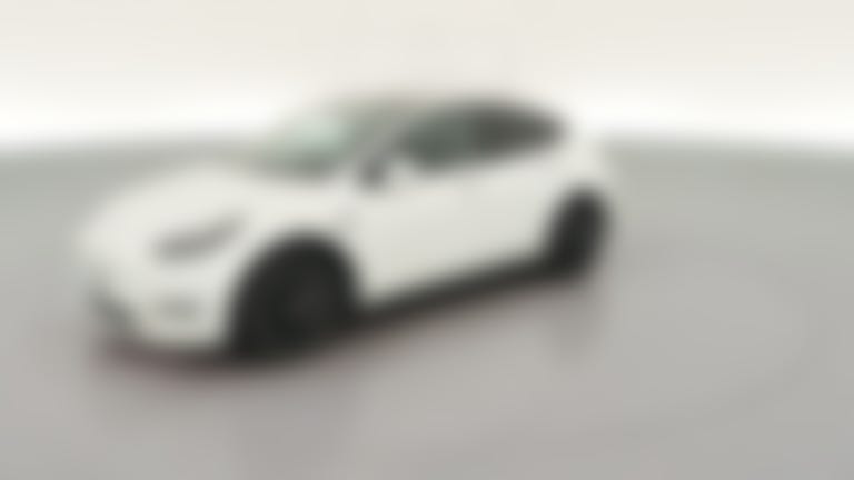 2021 Tesla Model Y vehicle photo