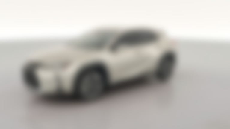 2019 Lexus UX vehicle photo