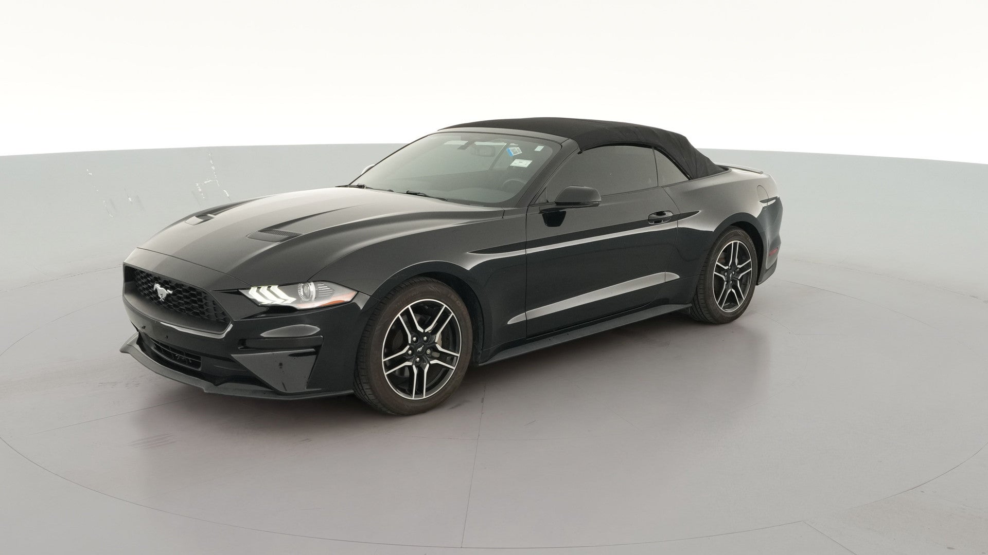 2019 Ford Mustang vehicle photo