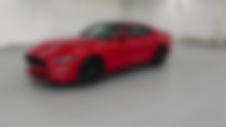 2019 Ford Mustang vehicle photo