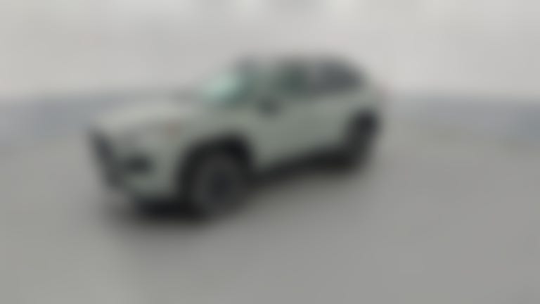 2019 Toyota RAV4 vehicle photo