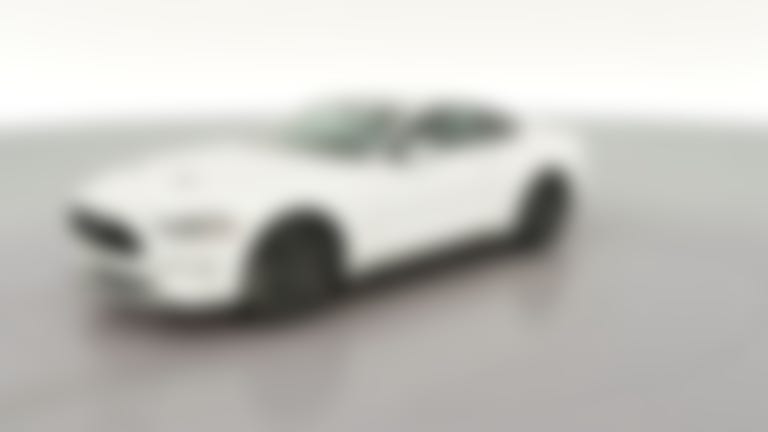 2019 Ford Mustang vehicle photo