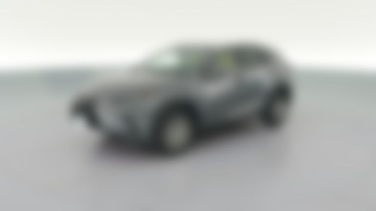 2019 Lexus NX vehicle photo
