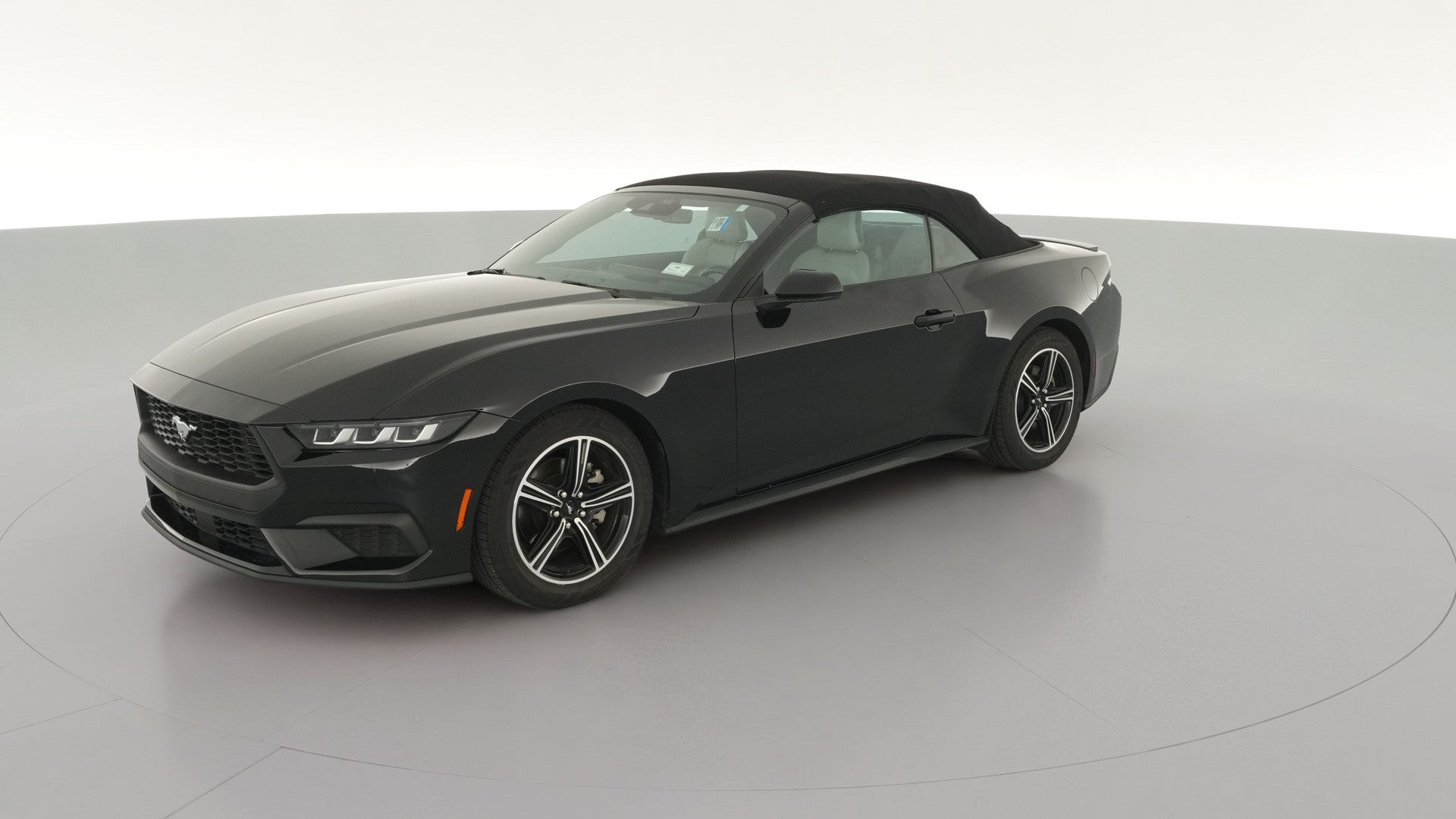 2024 Ford Mustang vehicle photo