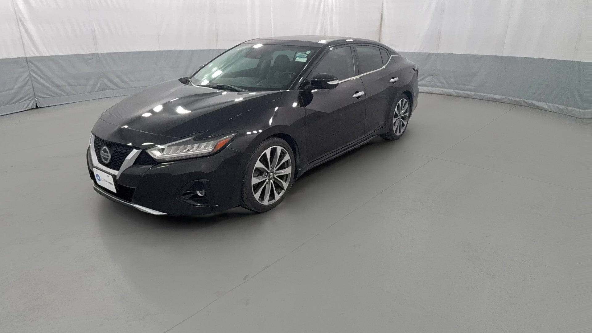2019 Nissan Maxima vehicle photo