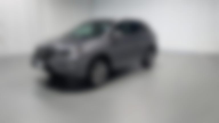 2013 Lexus RX vehicle photo