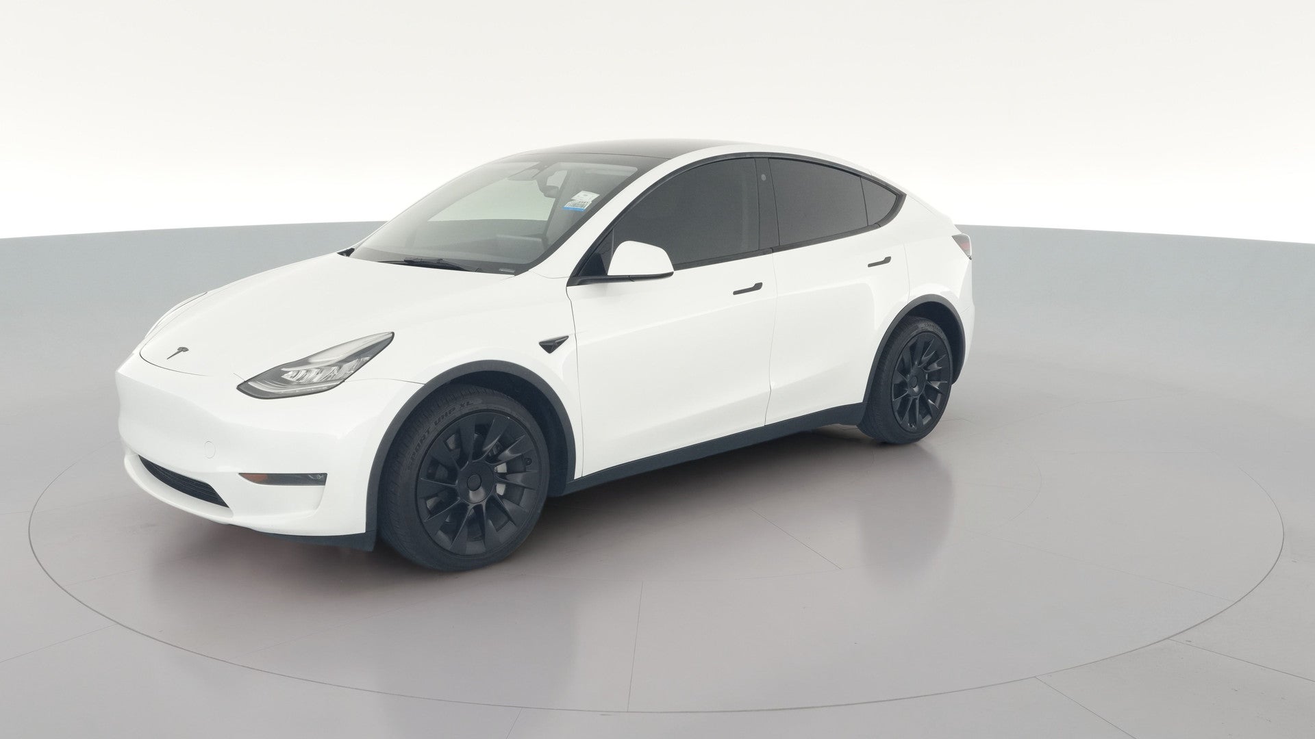 2023 Tesla Model Y vehicle photo