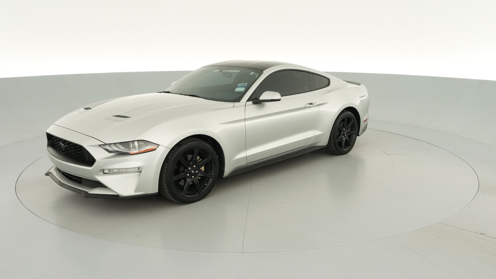 2019 Ford Mustang vehicle photo