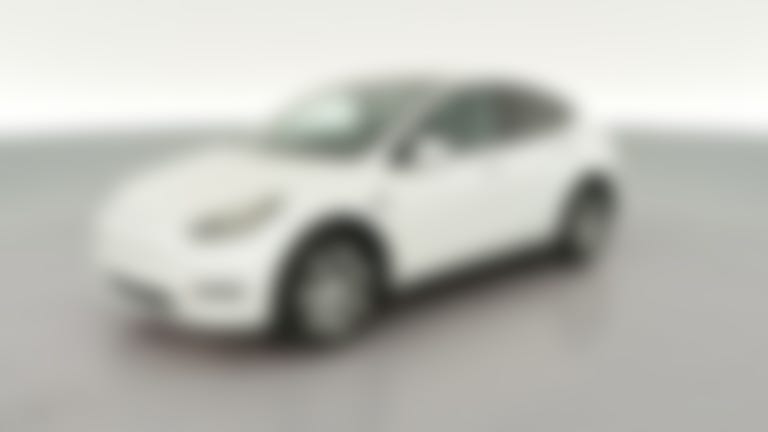 2021 Tesla Model Y vehicle photo