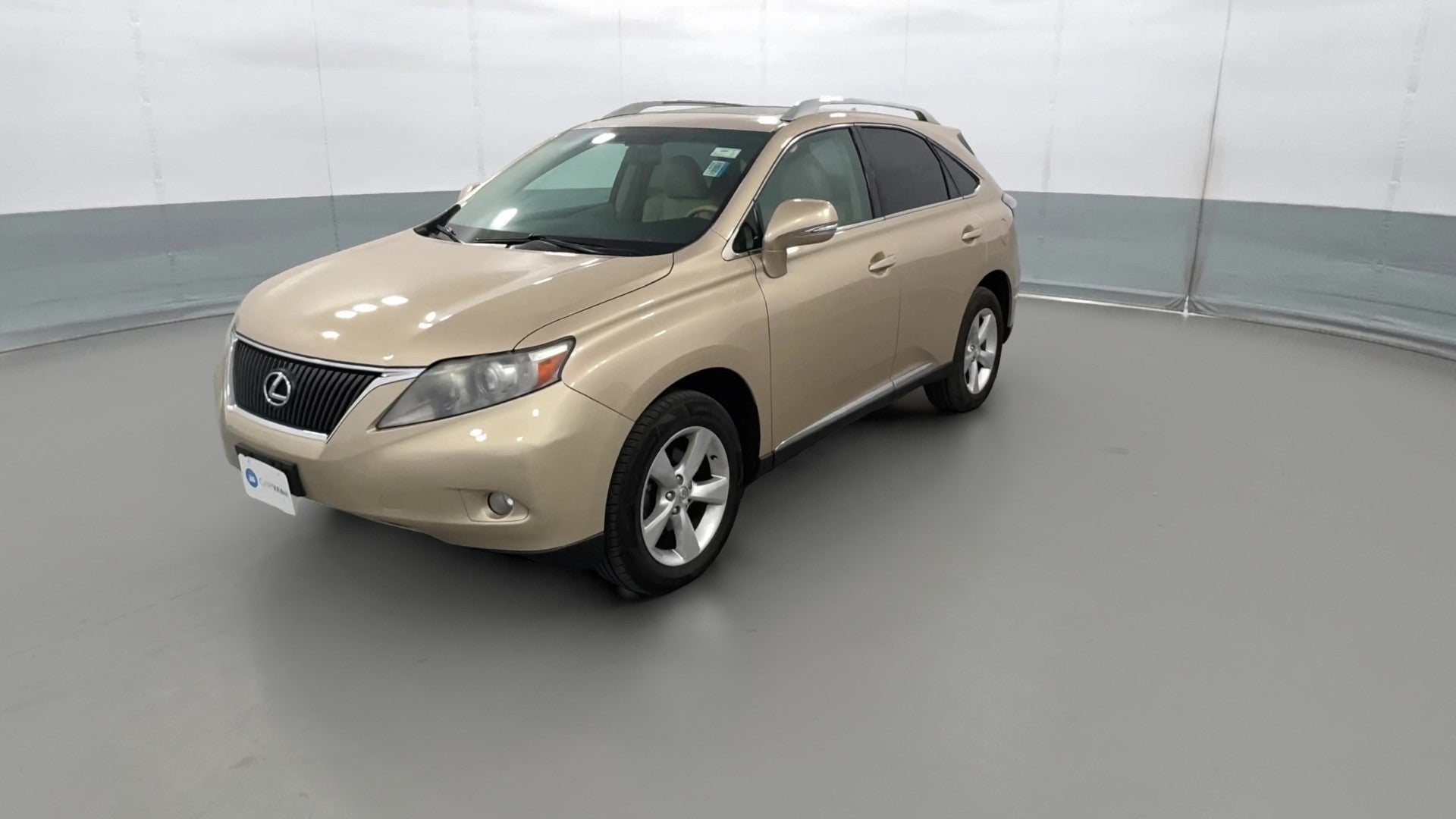 2010 Lexus RX vehicle photo