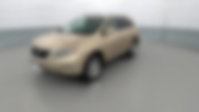 2010 Lexus RX vehicle photo