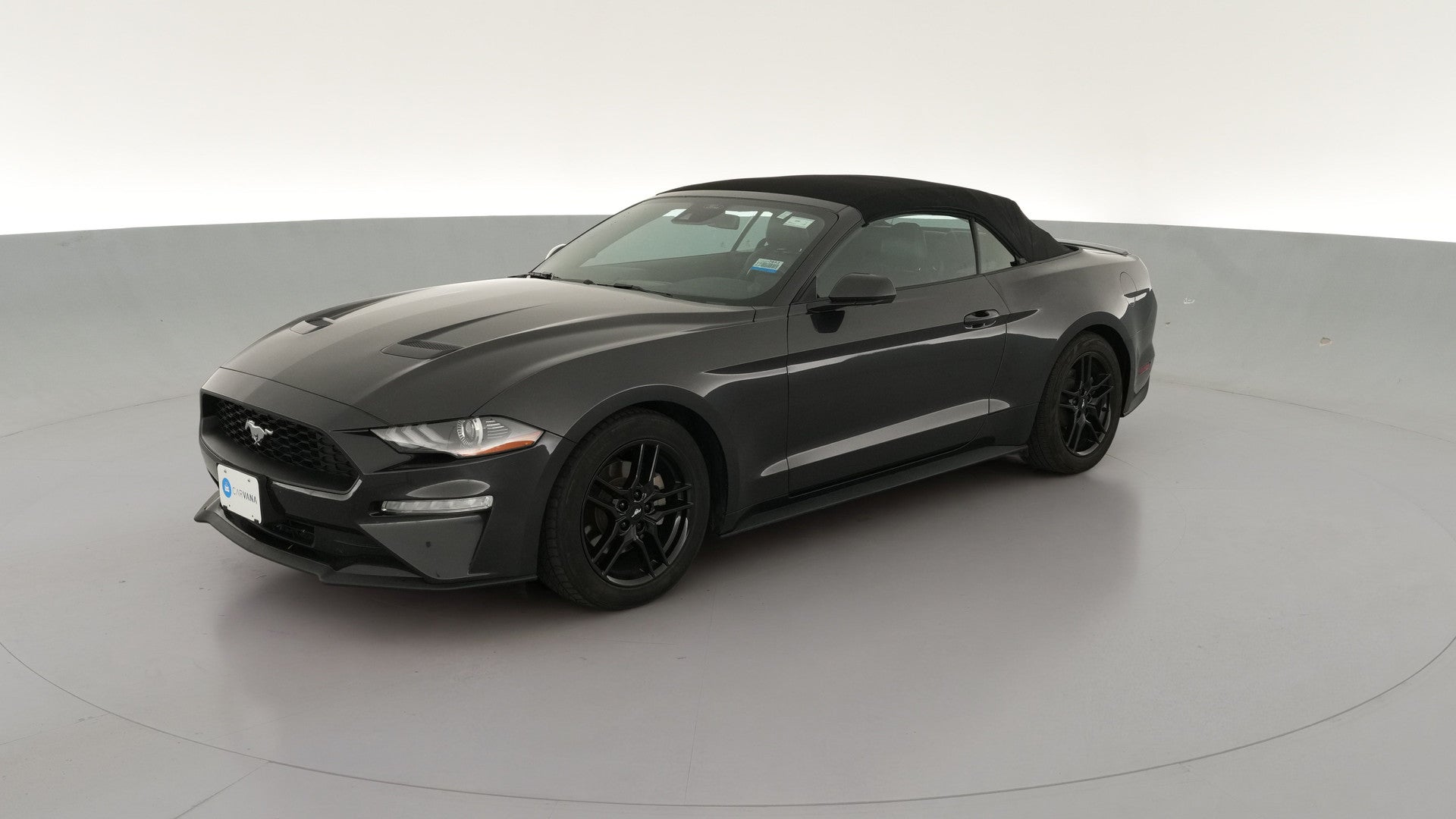2022 Ford Mustang vehicle photo