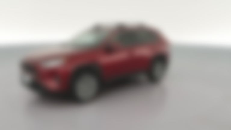 2019 Toyota RAV4 vehicle photo
