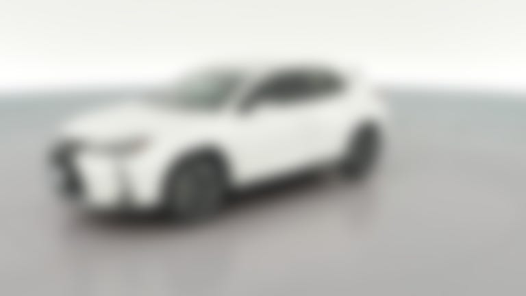2023 Lexus UX vehicle photo