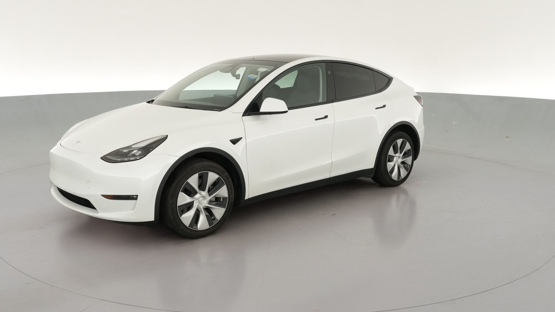 2023 Tesla Model Y vehicle photo