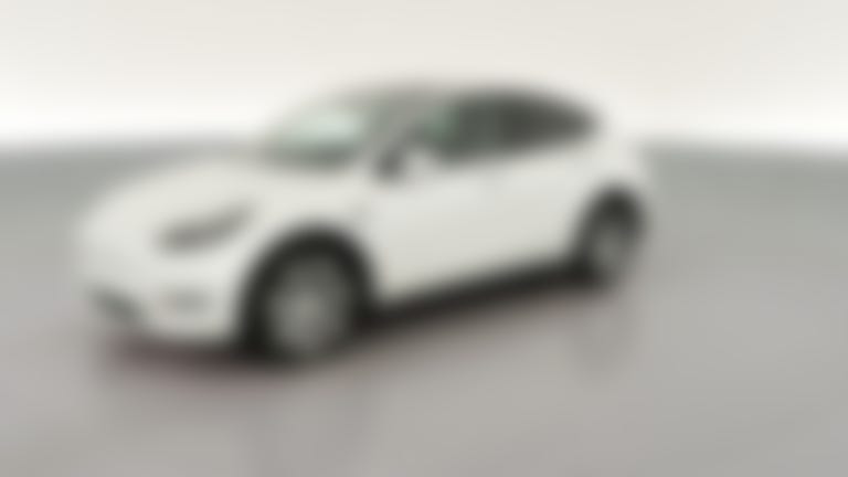 2023 Tesla Model Y vehicle photo