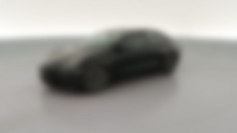 2021 Tesla Model 3 vehicle photo