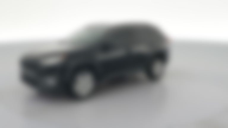 2019 Toyota RAV4 vehicle photo