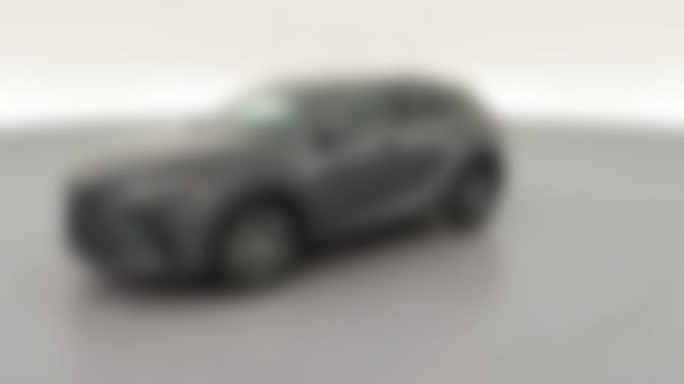 2024 Lexus RX vehicle photo