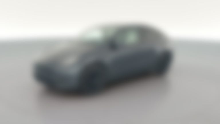 2020 Tesla Model Y vehicle photo