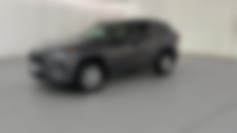 2020 Toyota RAV4 vehicle photo