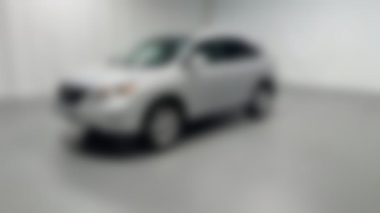 2010 Lexus RX vehicle photo