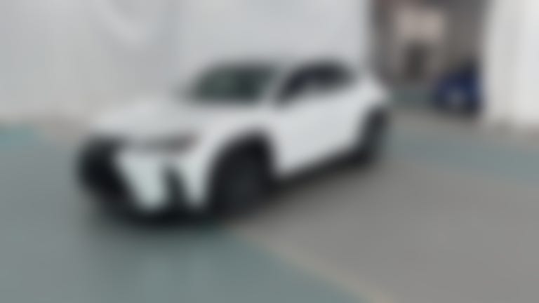 2019 Lexus UX vehicle photo