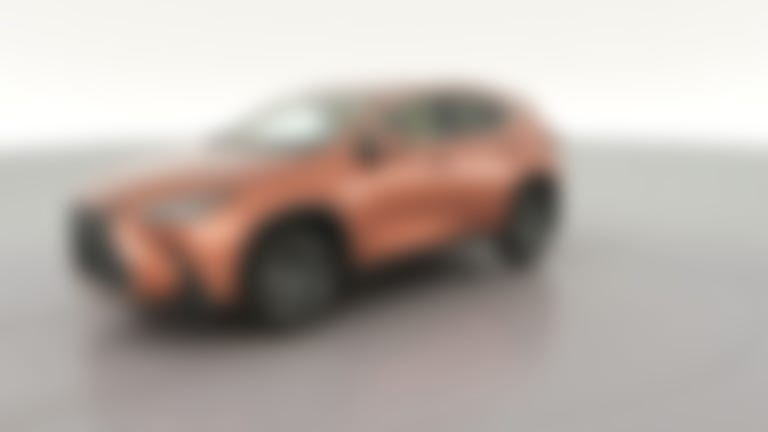 2025 Lexus NX vehicle photo