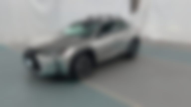 2021 Lexus UX vehicle photo