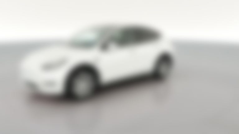 2023 Tesla Model Y vehicle photo