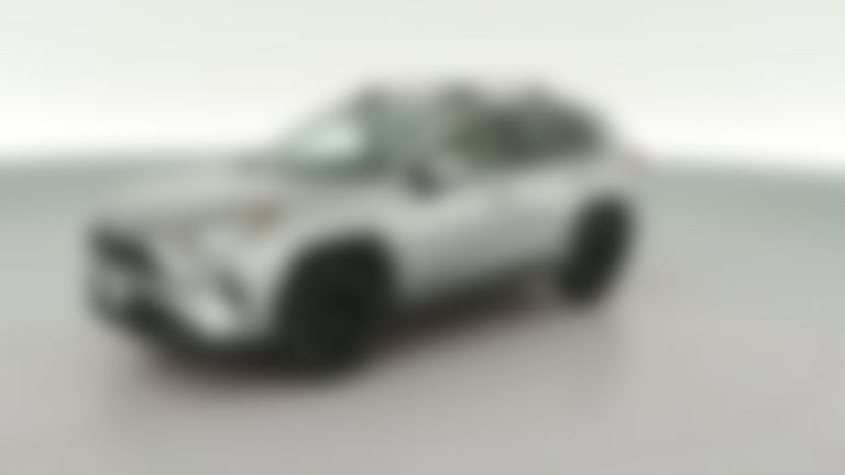 2019 Toyota RAV4 vehicle photo