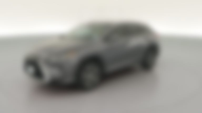 2019 Lexus RX vehicle photo