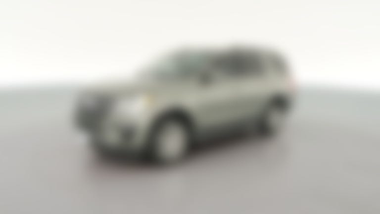 2019 Ford Expedition vehicle photo