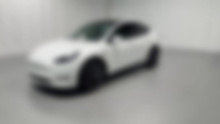 2021 Tesla Model Y vehicle photo