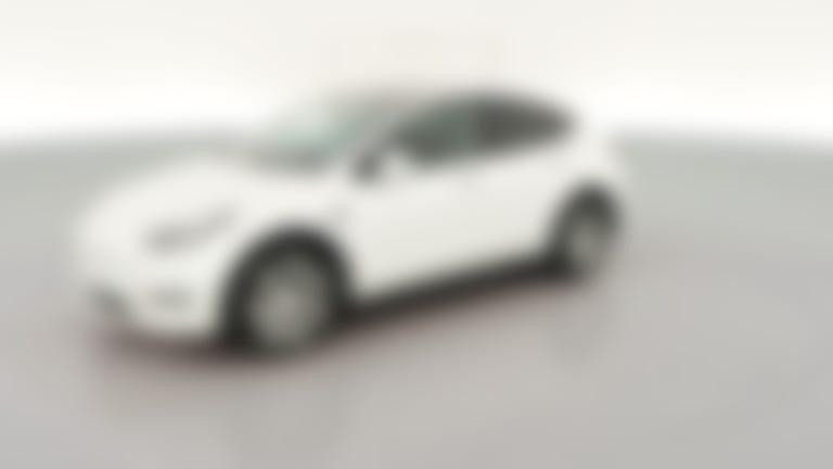 2023 Tesla Model Y vehicle photo