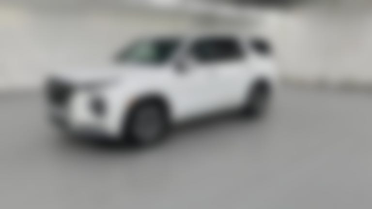 2021 Hyundai Palisade vehicle photo
