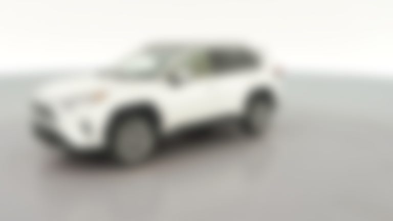 2020 Toyota RAV4 vehicle photo