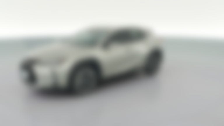 2021 Lexus UX vehicle photo