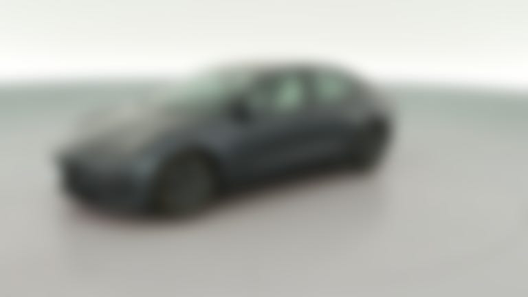 2021 Tesla Model 3 vehicle photo