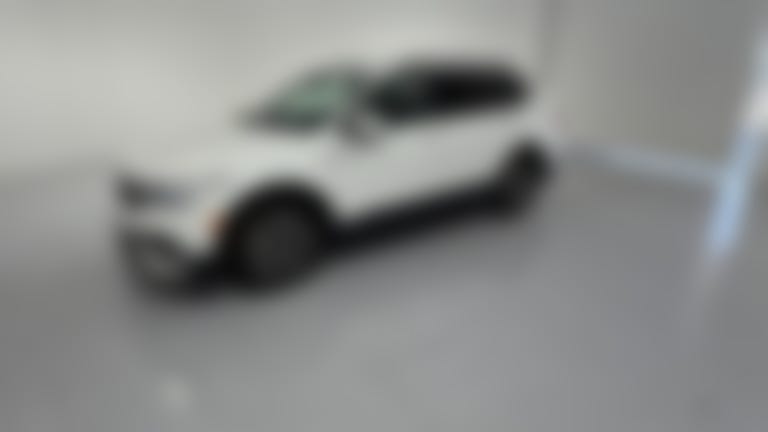 2024 Volkswagen Tiguan vehicle photo