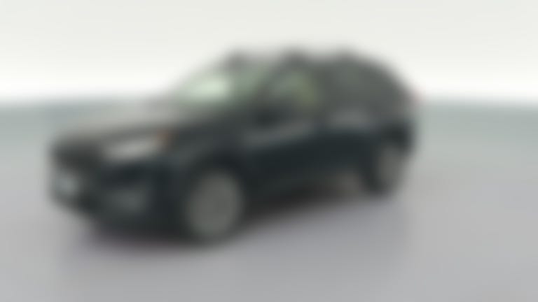 2019 Toyota RAV4 vehicle photo